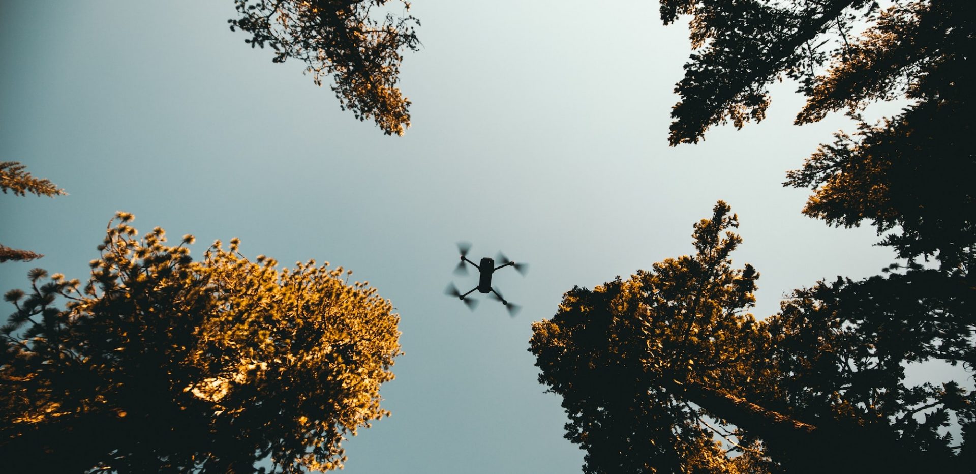 Drone flyver i skov